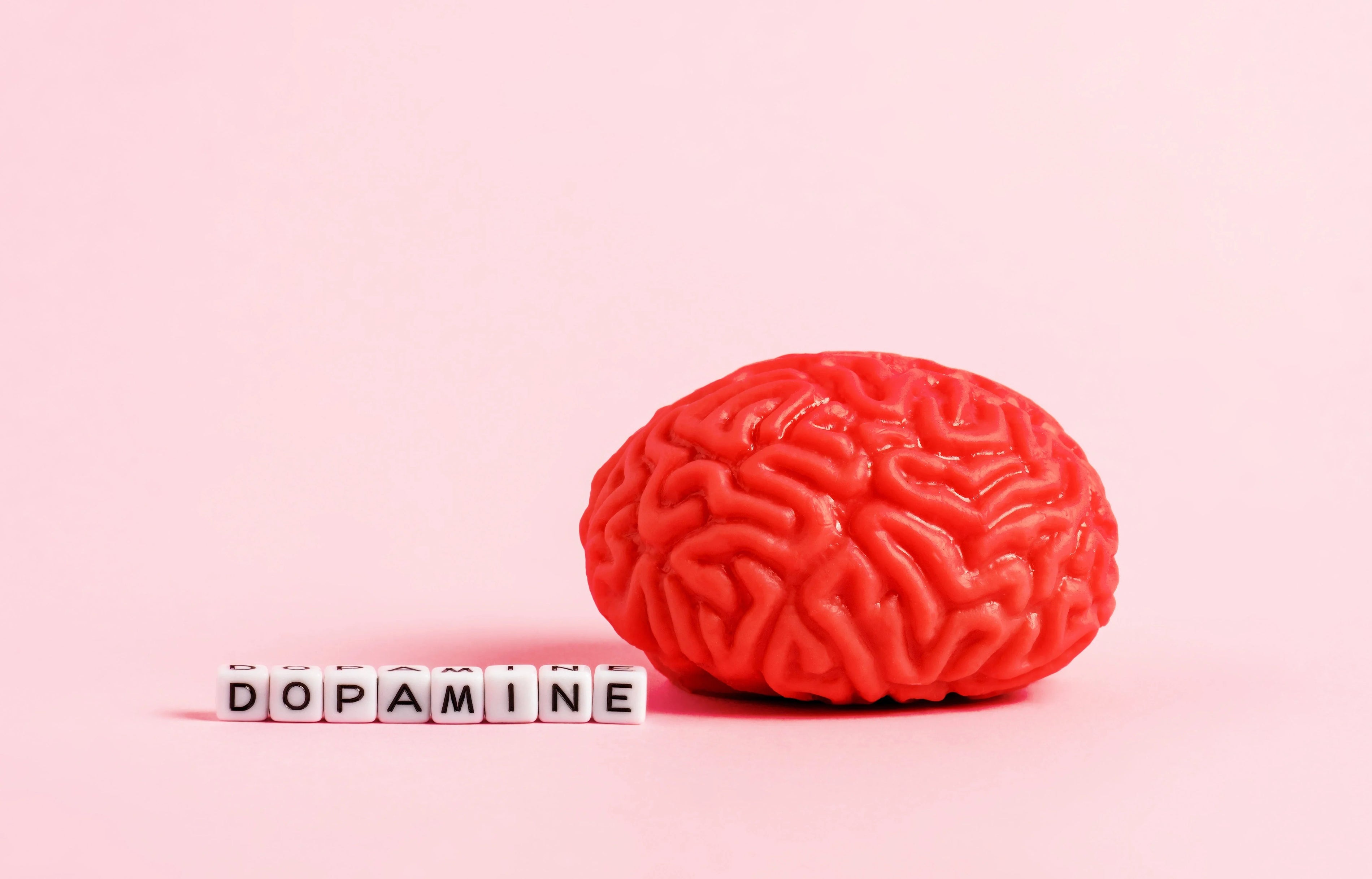 The Dopamine Connection: How JostArriba Keeps You Motivated, Focused, Calm & Energized All Day