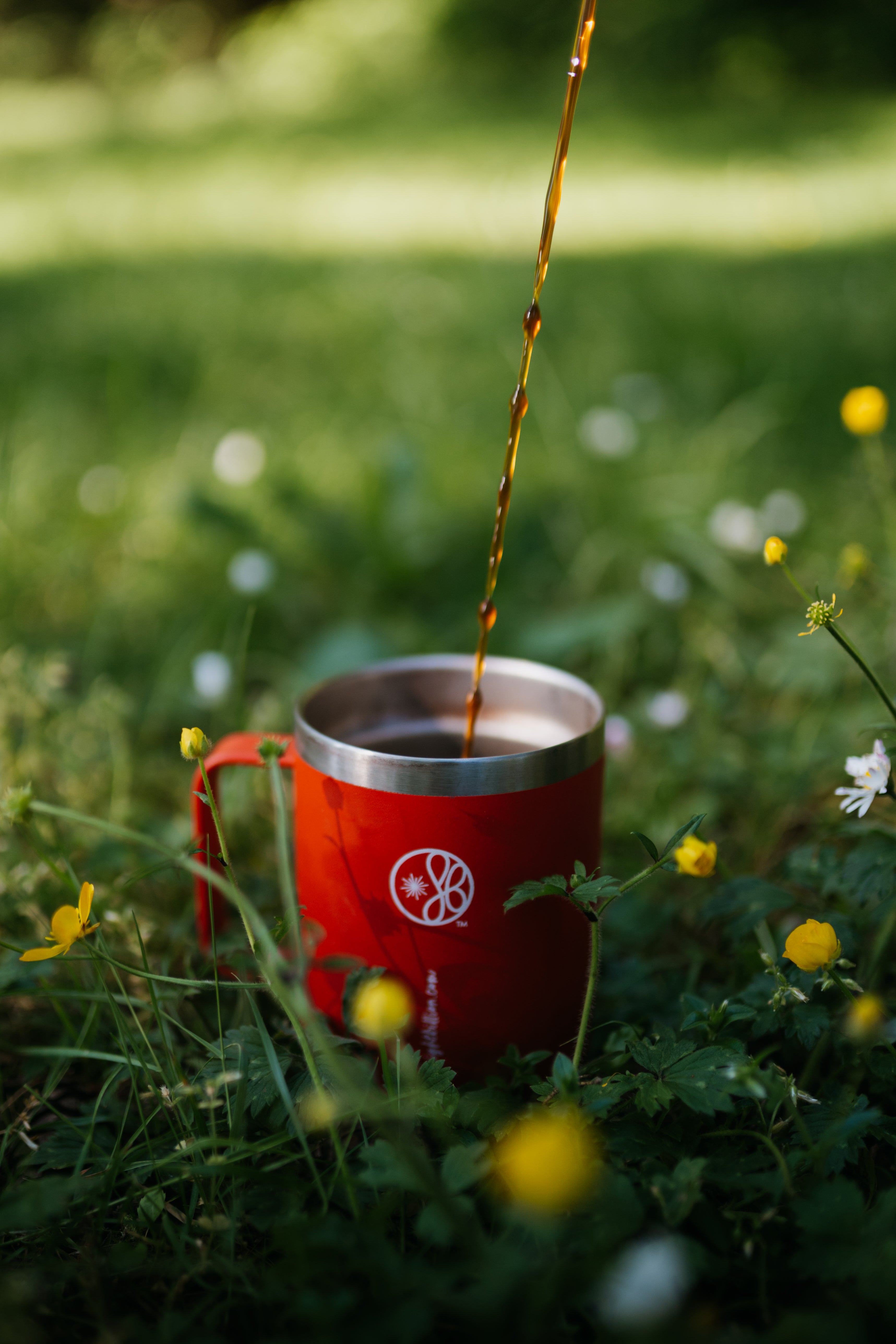 Pouring fresh JostArriba mushroom coffee into a red EightBillion reusable cup in a field of wildflowers. A perfect blend of sustainable living, brain-boosting mushrooms, and eco-friendly coffee habits.