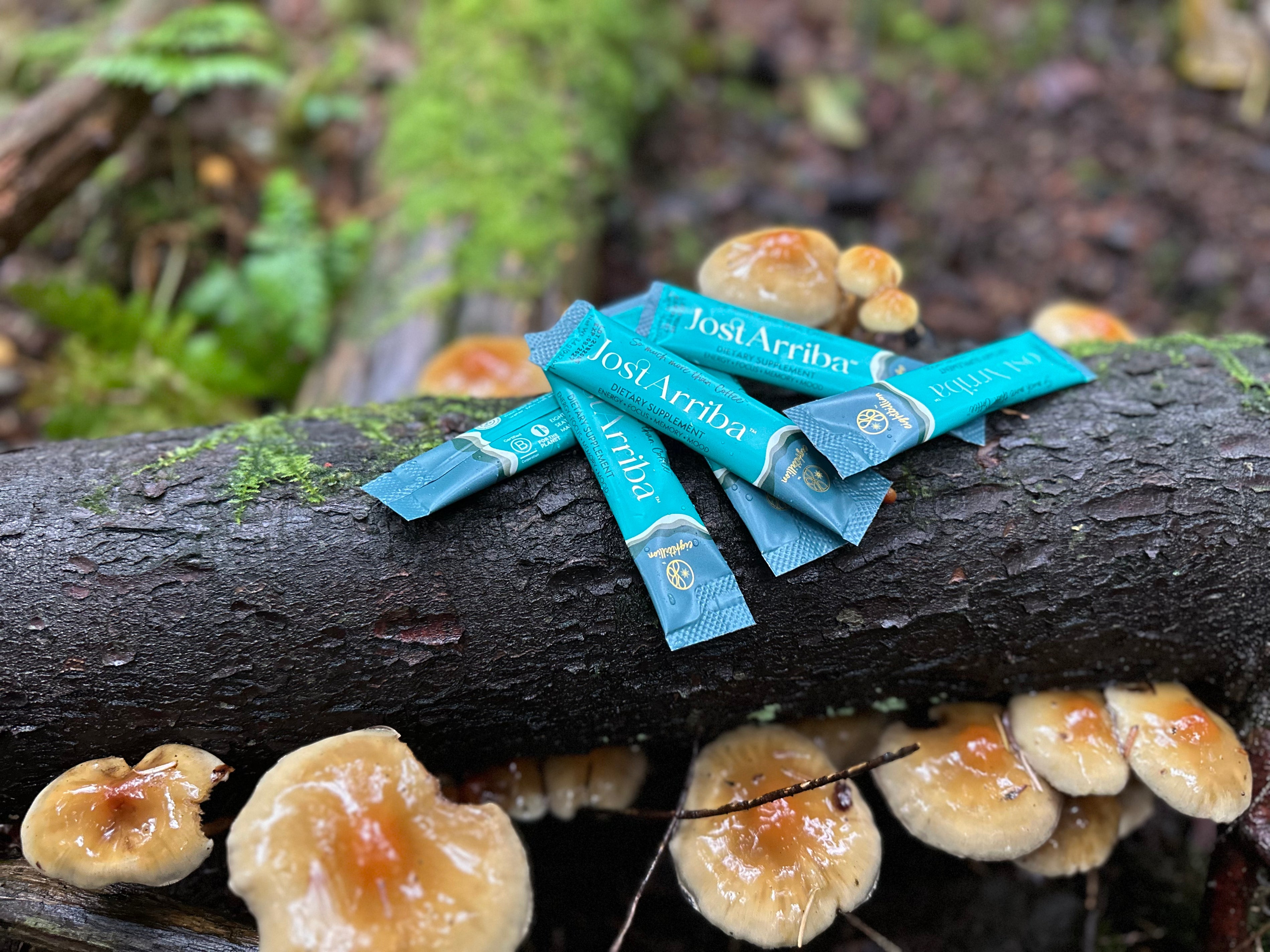 JostArriba mushroom coffee sachets placed on a mossy log with wild mushrooms in the forest. A brain boosting coffee alternative with adaptogens and nootropics, inspired by nature to support focus, mood, and calm energy.