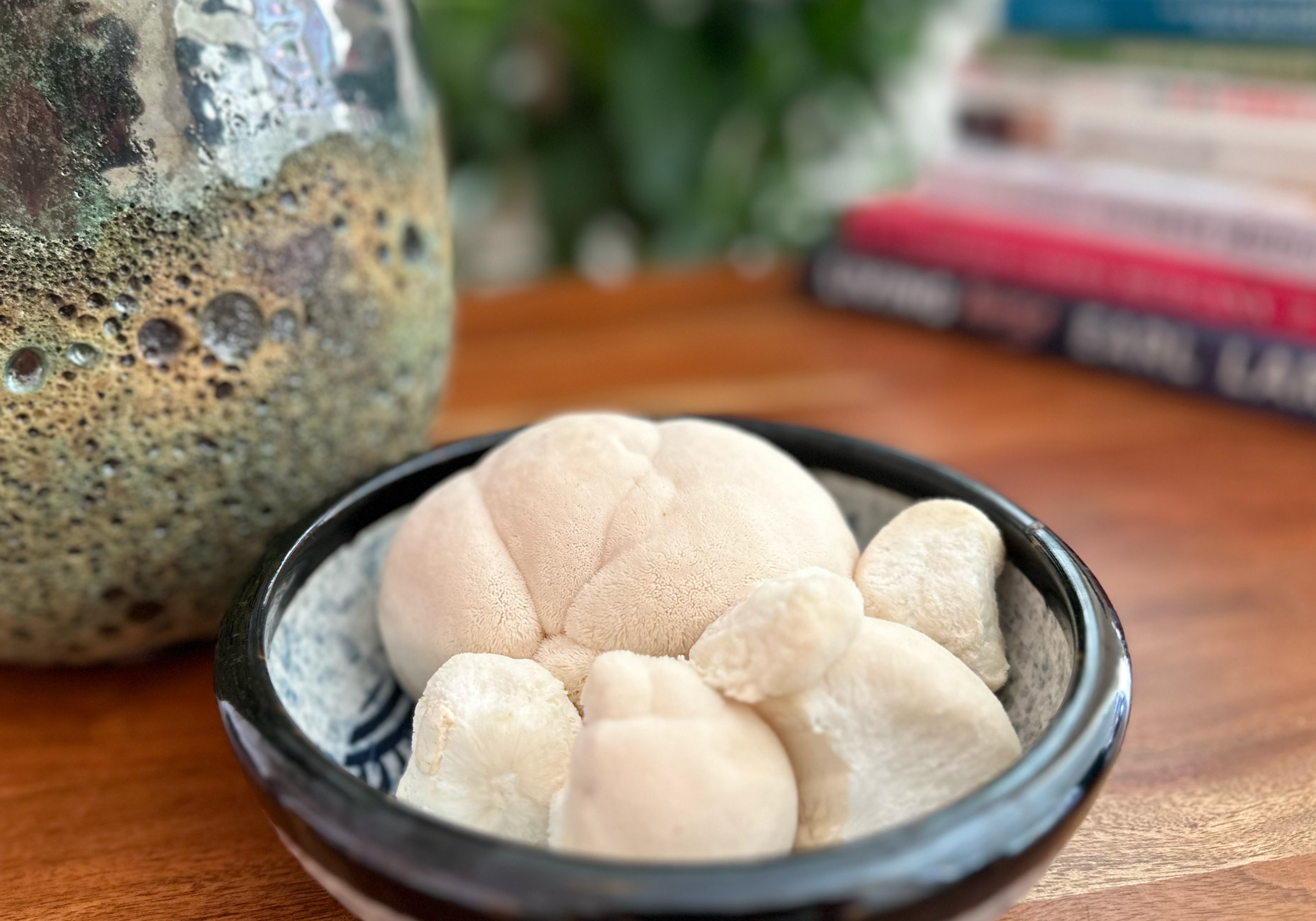 Fresh Lion’s Mane mushroom in a ceramic bowl, celebrated for its brain-boosting nootropic benefits. A natural superfood rich in antioxidants, supporting memory, focus, and cognitive health.