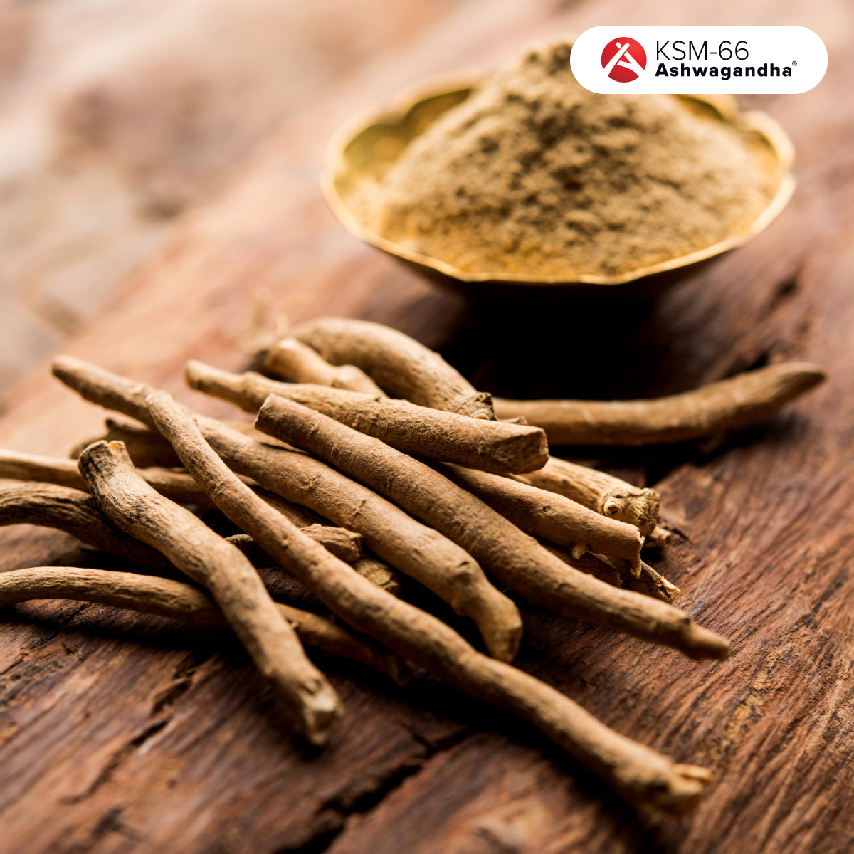 Organic ashwagandha root and powder, a renowned adaptogen for reducing stress, boosting energy, and improving sleep quality. A key ingredient in JostArriba mushroom coffee, supporting focus, mood, and vitality.