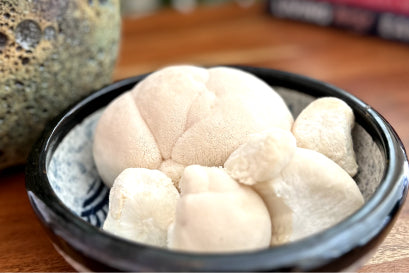 Lion’s mane mushroom in a ceramic bowl, a natural nootropic for memory, focus, and mood balance. Featured in JostArriba mushroom coffee as a key adaptogen that enhances brain health and cognitive performance