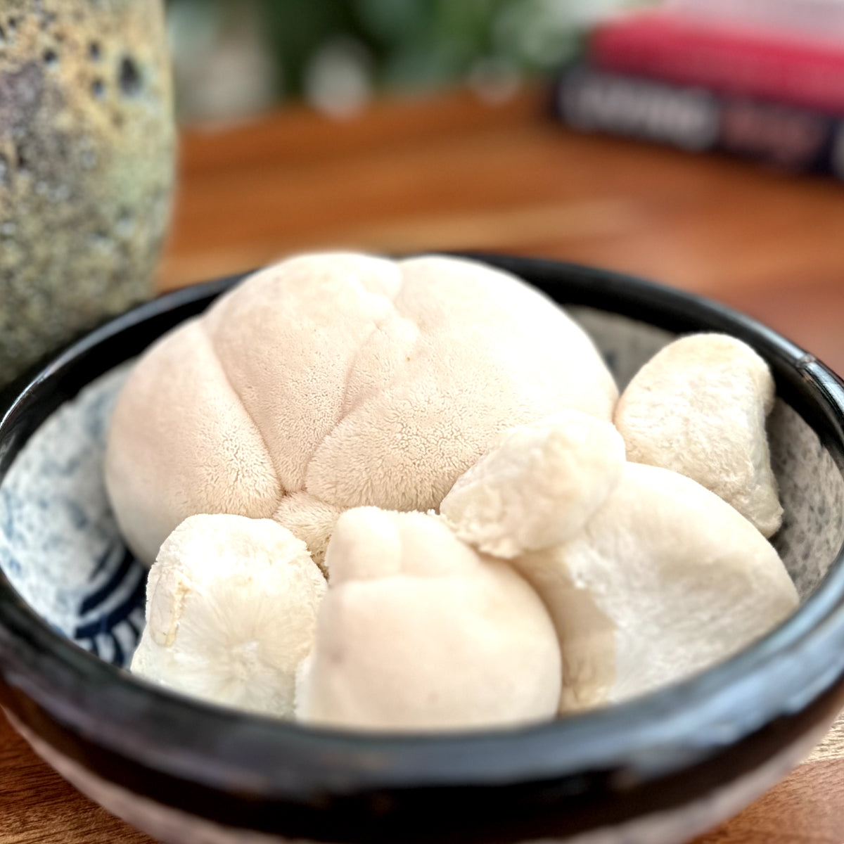 Fresh lion’s mane mushroom in a ceramic bowl, a powerful nootropic for memory, focus, and mood support. Featured in JostArriba mushroom coffee as an adaptogen that promotes brain health and cognitive performance.