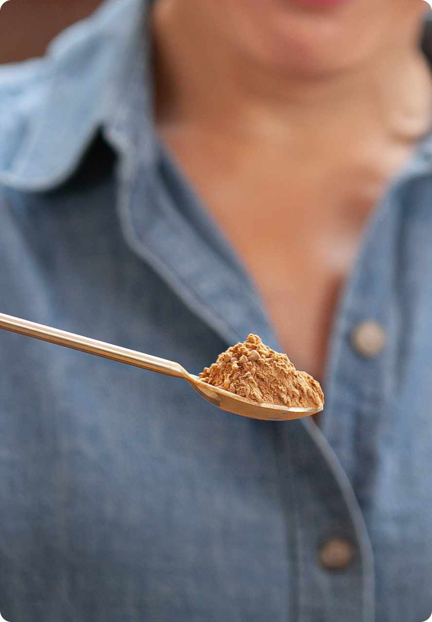 Spoonful of mushroom and adaptogen powder used in JostArriba brain boosting coffee. A functional coffee alternative with lion’s mane, reishi, ashwagandha, and nootropics to support focus, memory, mood, and natural energy.