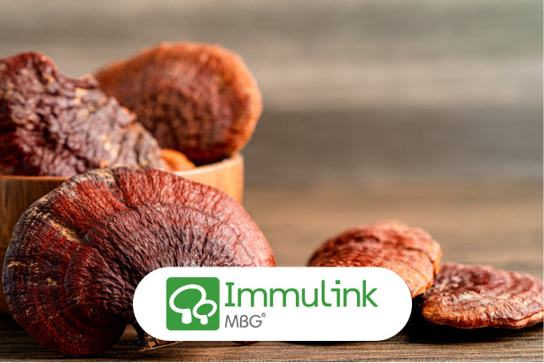 Organic reishi mushrooms, shown with Immulink® extract for immune system support. A key adaptogen in JostArriba mushroom coffee, helping reduce stress, boost mood, and promote overall brain health and calm energy.