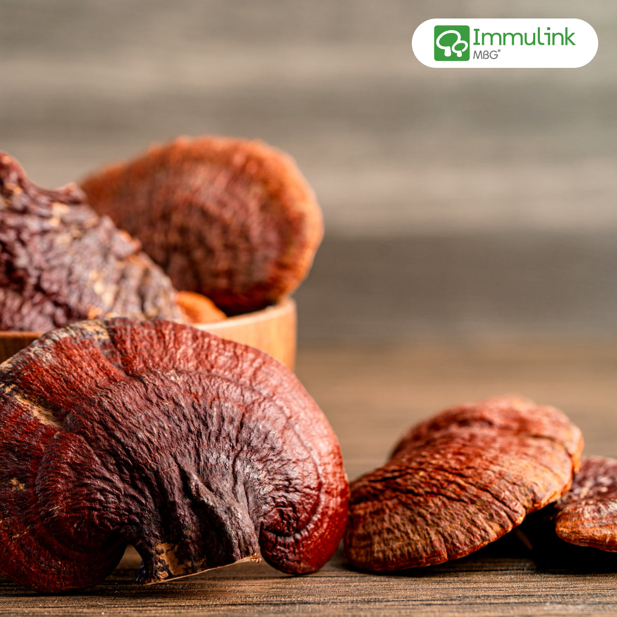 Organic reishi mushrooms, a powerful adaptogen known for immune system support and stress relief. A core ingredient in JostArriba mushroom coffee, enhancing mood, calm energy, and overall brain health.