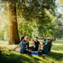 Group of friends enjoying Eight Billion mushroom coffee outdoors, raising cups together in a park picnic setting under the sun