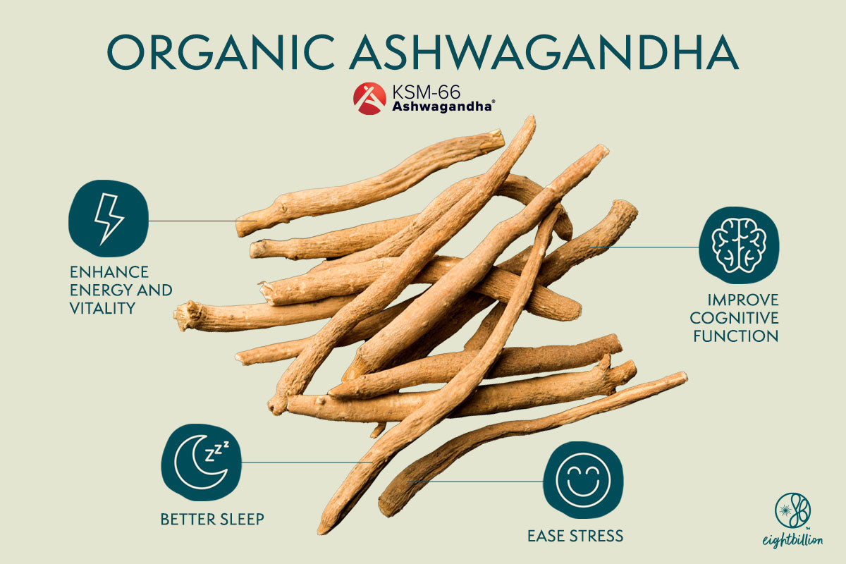 Harnessing the Power of KSM-66 Ashwagandha Extract, A Natural Stress Reliever