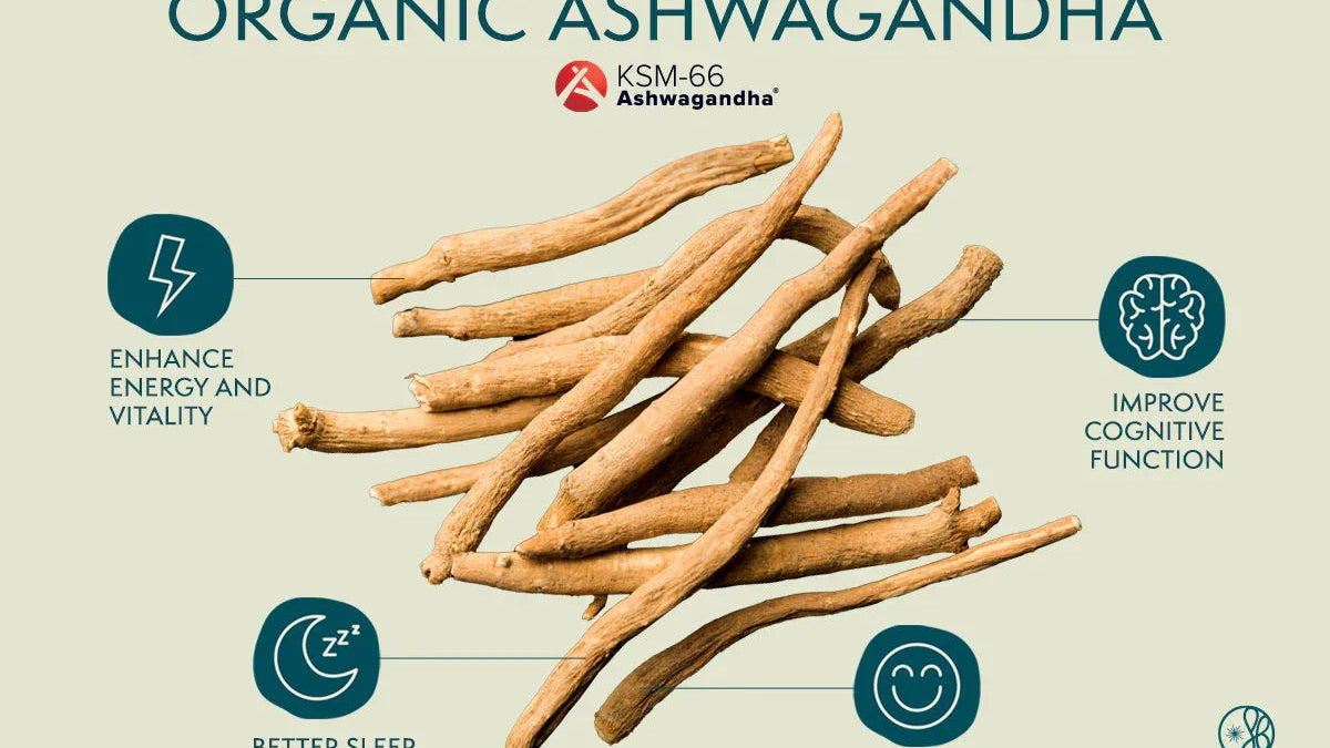 Harnessing the Power of KSM-66 Ashwagandha Extract, A Natural Stress Reliever