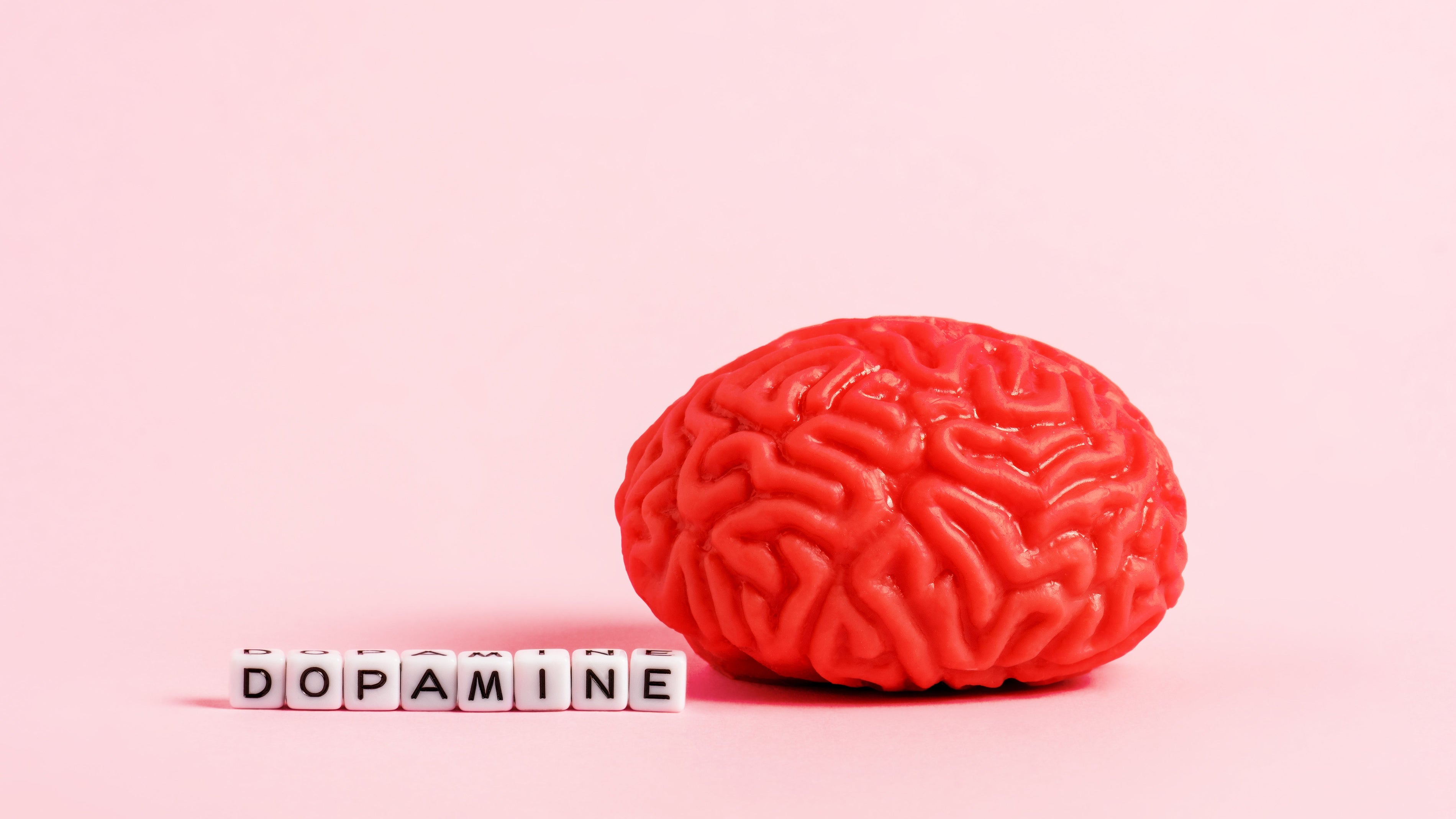The Dopamine Connection: How JostArriba Keeps You Motivated, Focused, Calm & Energized All Day