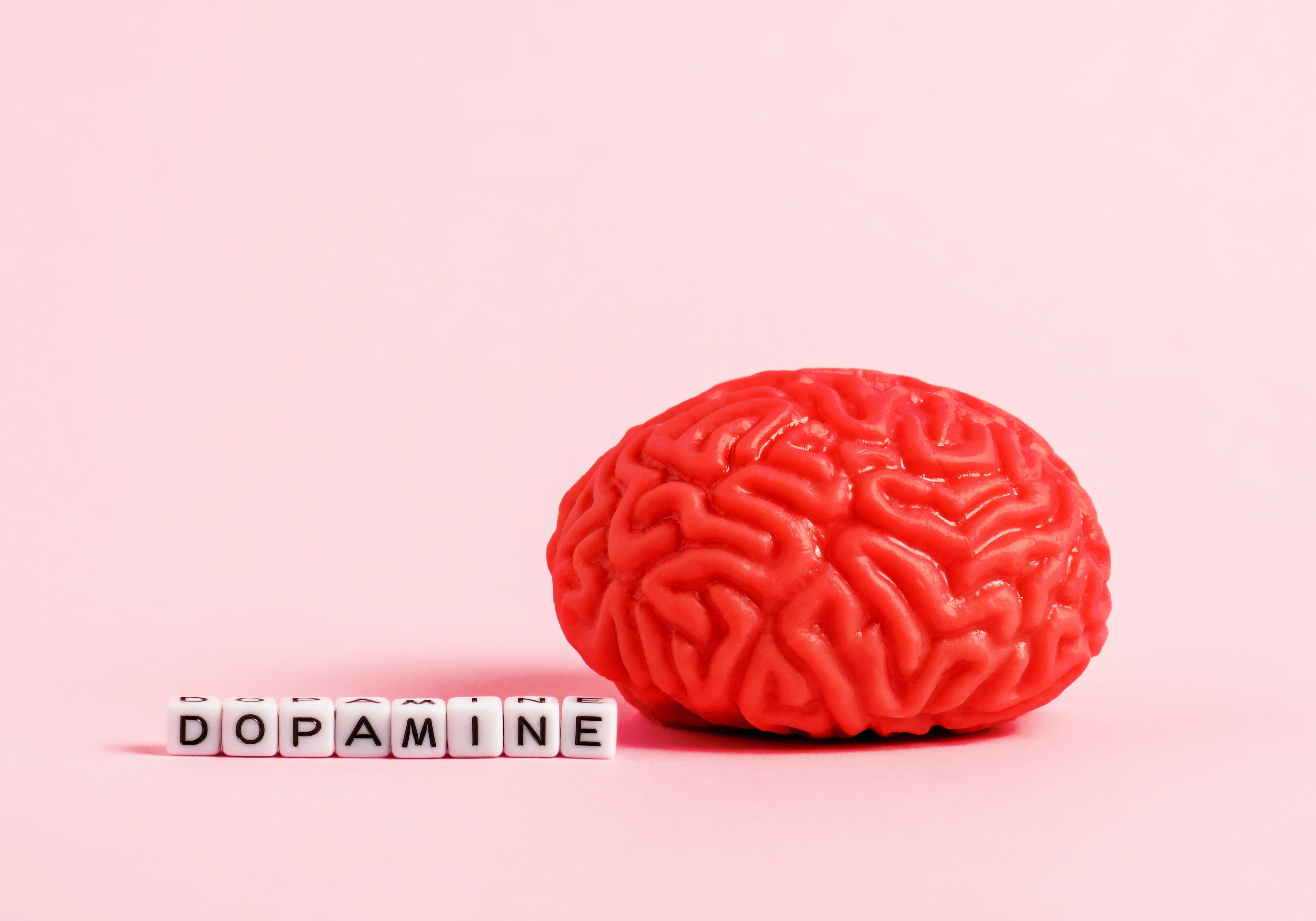 The Dopamine Connection: How JostArriba Keeps You Motivated, Focused, Calm & Energized All Day