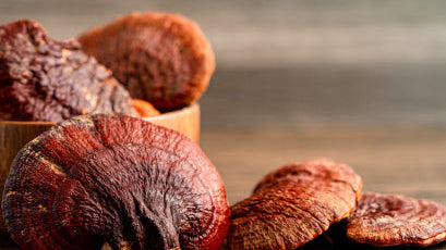 Are the botanical and mushroom ingredients powder or extracts?