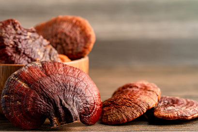 Are the botanical and mushroom ingredients powder or extracts?
