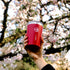 Eightbillion Canyon Red Stainless Steel Tumbler (with lid)